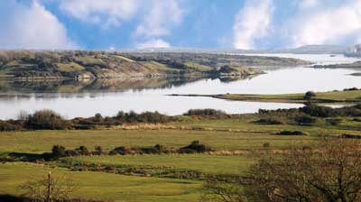 river shannon estuary islands